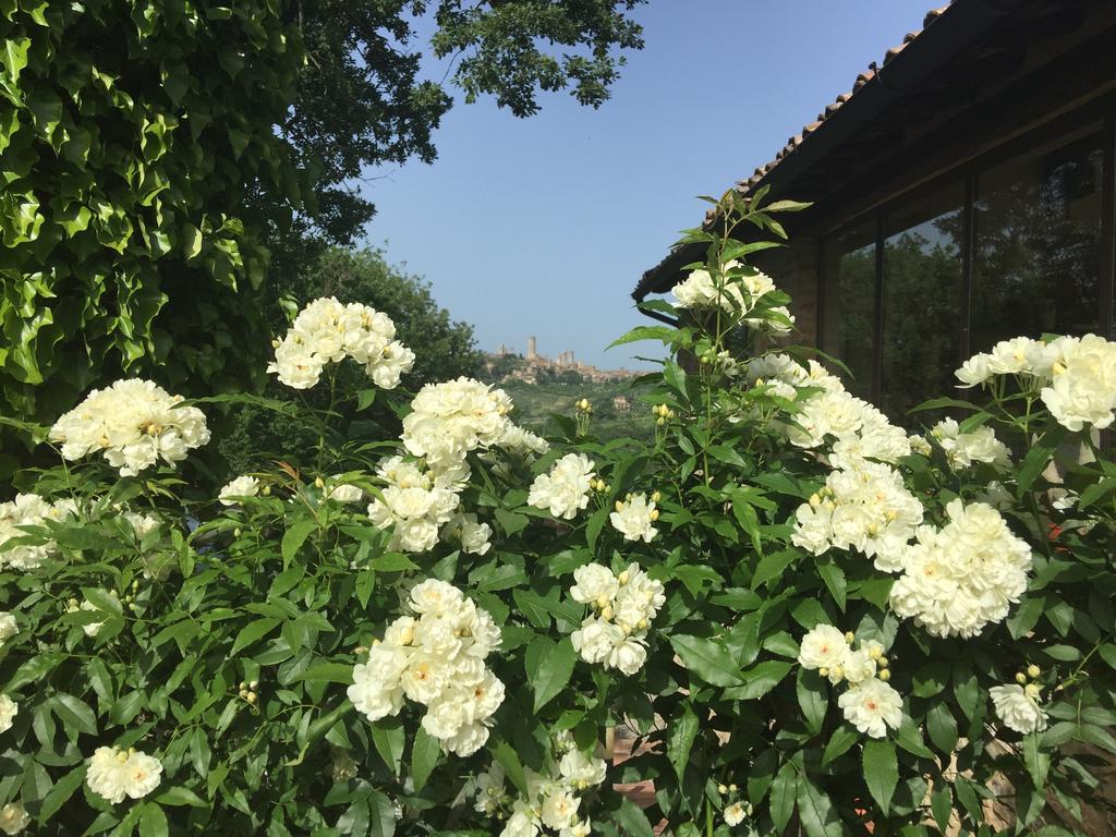 Podere Sant'Elena Σαν Τζιμινιάνο Εξωτερικό φωτογραφία