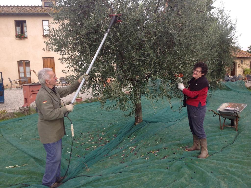 Podere Sant'Elena Σαν Τζιμινιάνο Εξωτερικό φωτογραφία