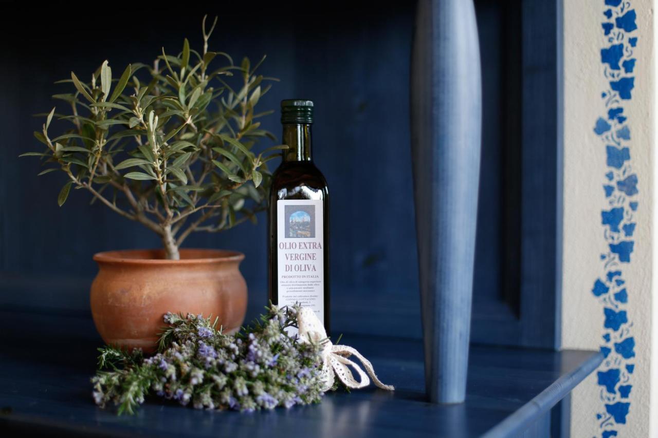 Podere Sant'Elena Σαν Τζιμινιάνο Εξωτερικό φωτογραφία